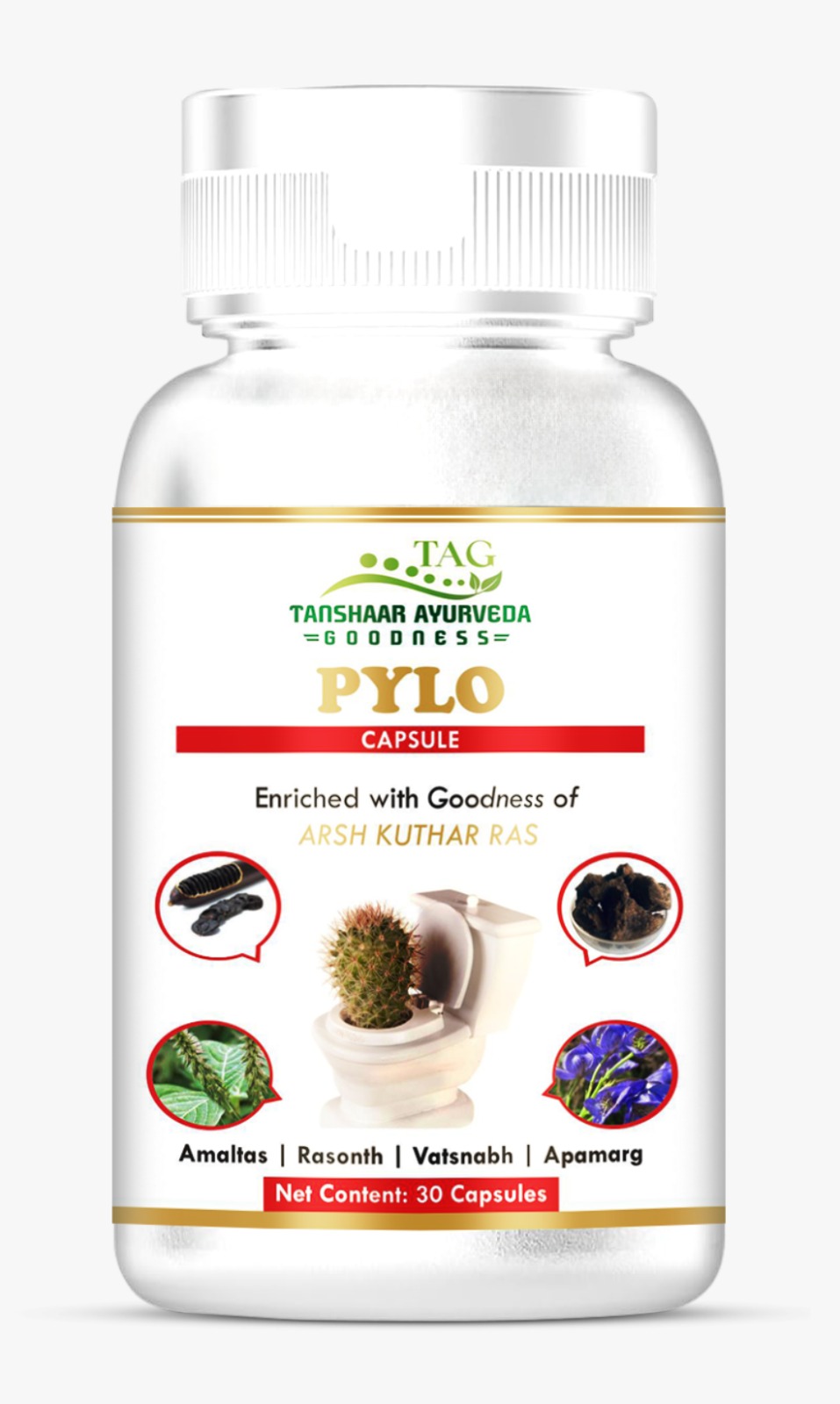 PYLO